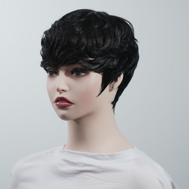 Women Black Wigs Short Hairpieces Toupee and Oblique Bangs Synthetic Wigs for Daily Party Wigs